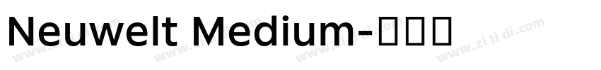 Neuwelt Medium字体转换
